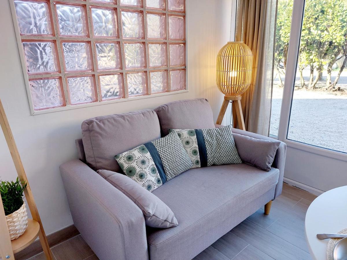 Apartment Ravissant T2 Terrasse Privative Et Parking Odos